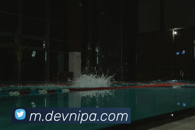 pa视讯APP 封面图